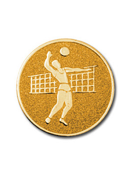 Вкладыш в медаль/ приз/ кубок - BM#A-19