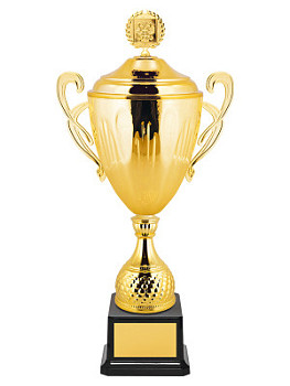 Кубок с российской символикой - KM2838