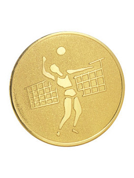 Вкладыш в медаль/ приз/ кубок - Эскиз-19