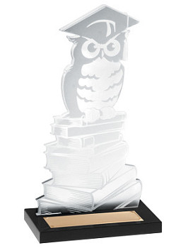 Награда «Ученая сова» акриловая - PS1344-Z