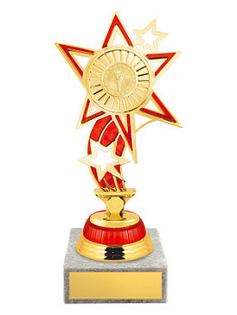Приз наградной «Звёзды» - PS1635