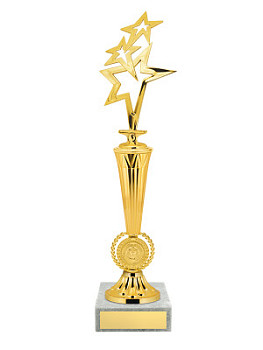 Приз наградной «Звёзды» - PS1000